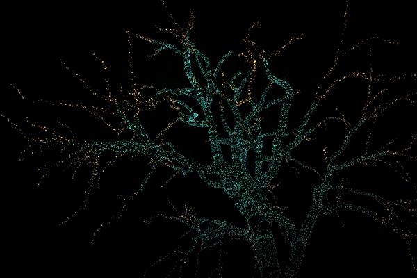 Outdoor Holiday Lighting Safety CT